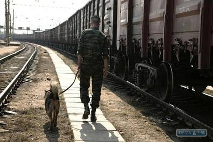 Сотрудники военизированной охраны раскрыли более ста краж на Одесской магистрали на 1,2 млн грн