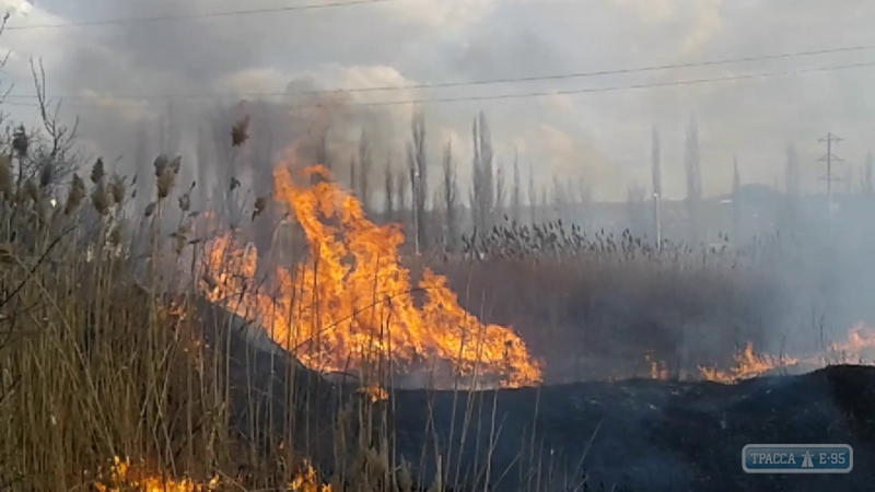 Спасатели Одесщины за последние сутки 12 раз ликвидировали пожар на открытой территории