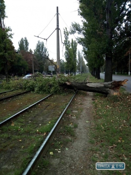 Непогода в Одессе ограничила работу двух трамваев и троллейбуса
