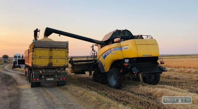 На юге Одесской области в самом разгаре уборка риса
