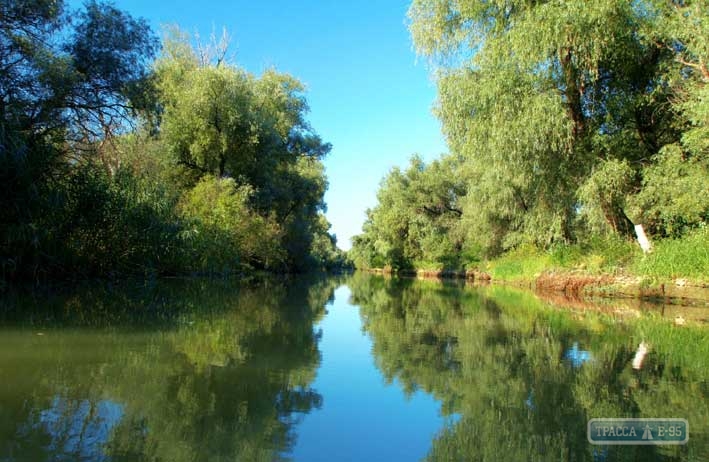 Европейская программа выделила крупный грант на восстановление природы в дельте Дуная на Одесщине