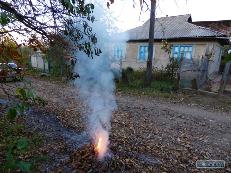 Горсовет Балты на севере Одесщины начал штрафовать местных жителей, сжигающих листья