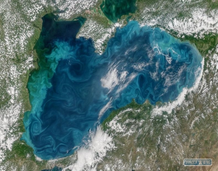 Одесская область решает проблемы Черного моря за деньги Евросоюза