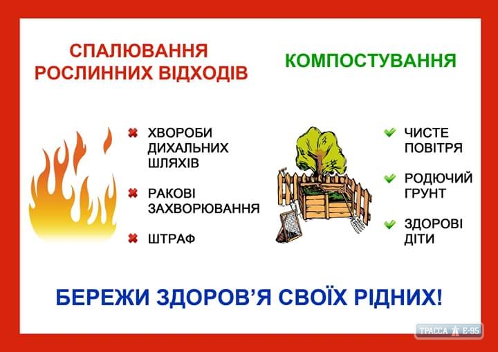 Мэрия Березовки на Одесщине решила централизованно вывозить листья, чтобы их не сжигали горожане
