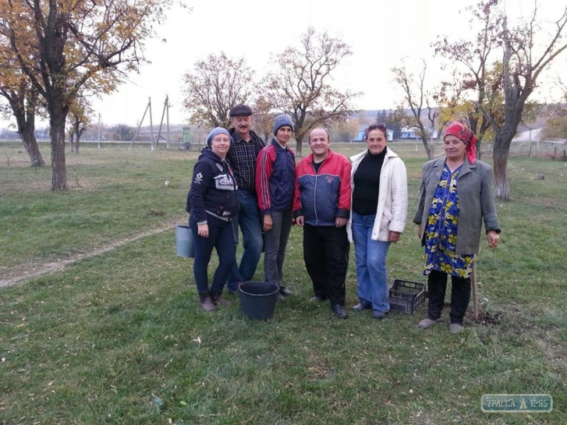 Житель Захаровки выращивает саженцы дуба и бесплатно раздает их всем желающим по всей Украине