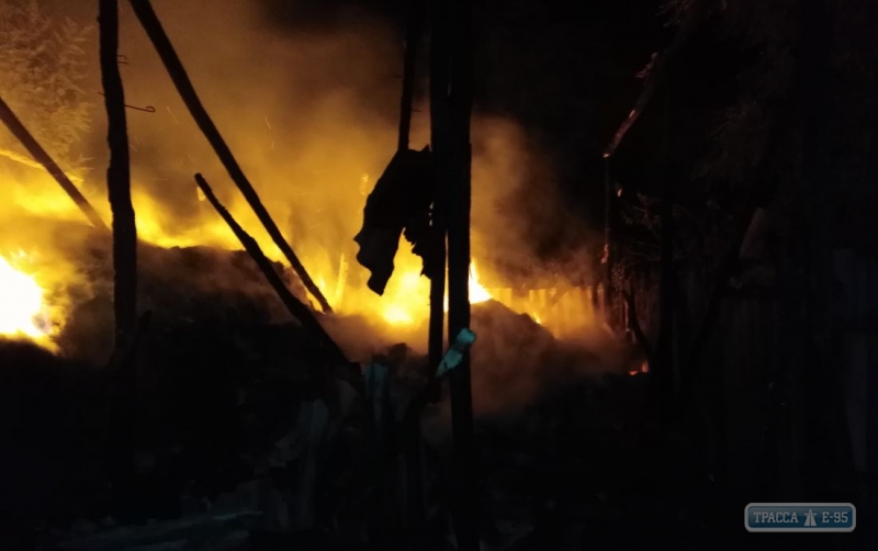 Четыре тонны сена сгорели в Белгород-Днестровском районе Одесщины