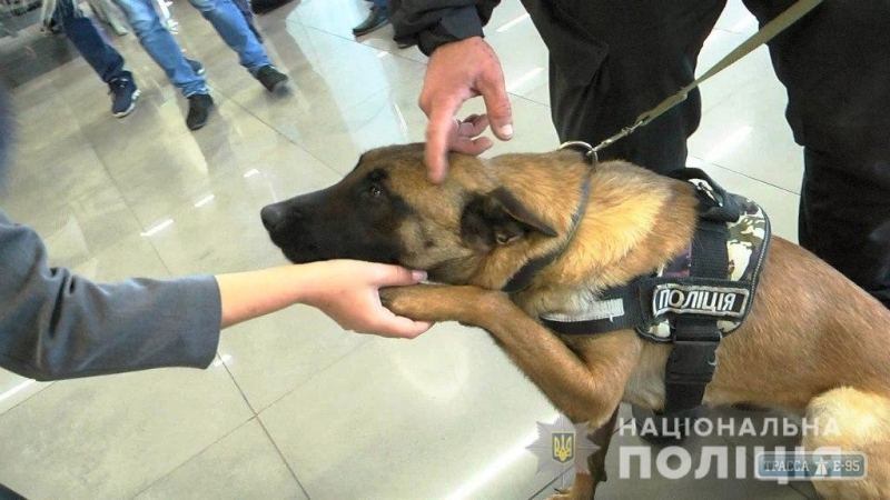 Совместные наряды полиции и кинологов начали работу в Одесском аэропорту (фото)