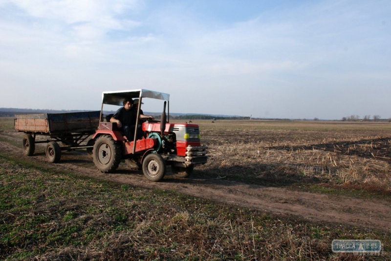 Одесская область заняла седьмое место по объему сельхозпроизводства в Украине за девять месяцев