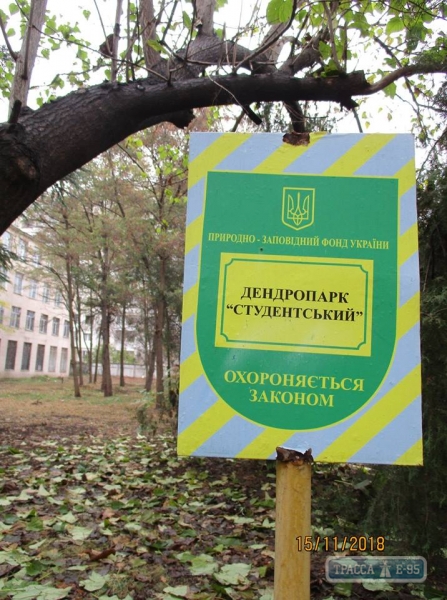 Горзелентрест заявил о незаконной массовой вырубке деревьев в дендропарке «Студенческий» в Одессе
