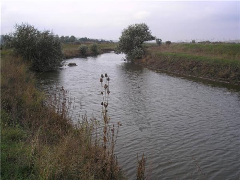 Власти начали расчистку реки Средний Куяльник в Ивановском районе Одесщины