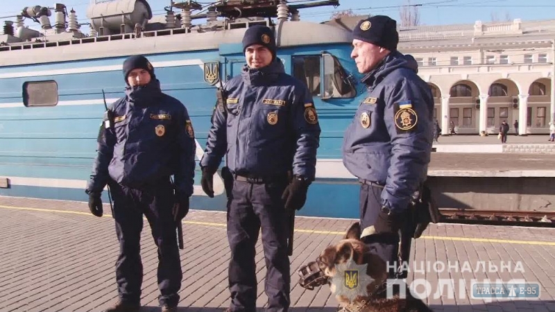 Блокпосты и объекты стратегического значения Одесской области усилили кинологами с собаками