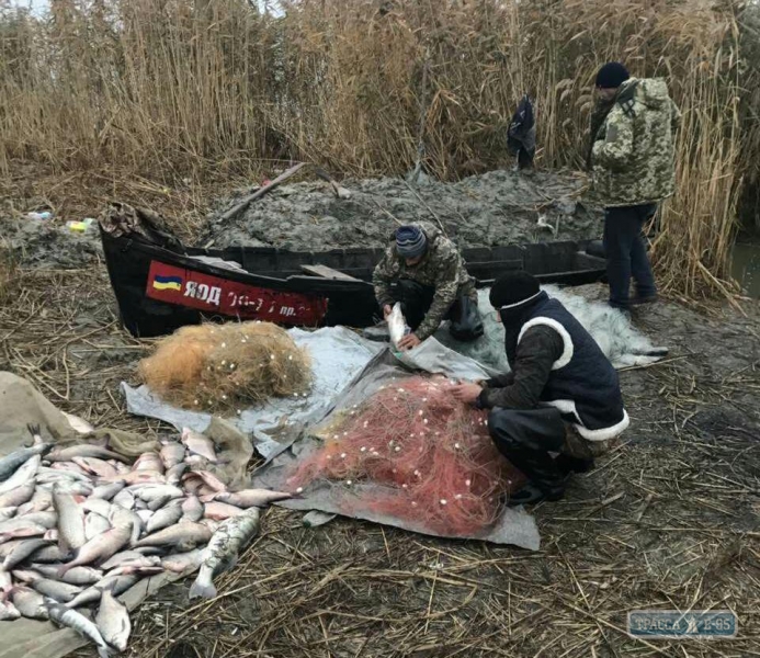 Одесский рыбоохранный патруль разоблачил 168 нарушений в течение ноября