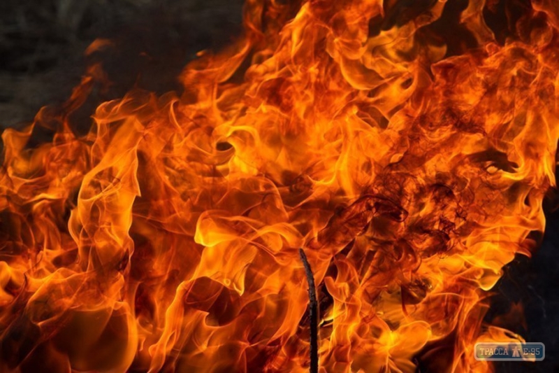 Три человека погибли во время пожаров в Одесской области