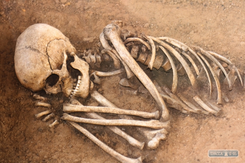 Одесские рабочие нашли два старых скелета в цистерне для хранения топлива