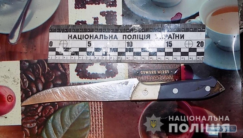 Подозреваемый в убийстве четырех человек на юге Одесщины помещен в изолятор (фото, видео)