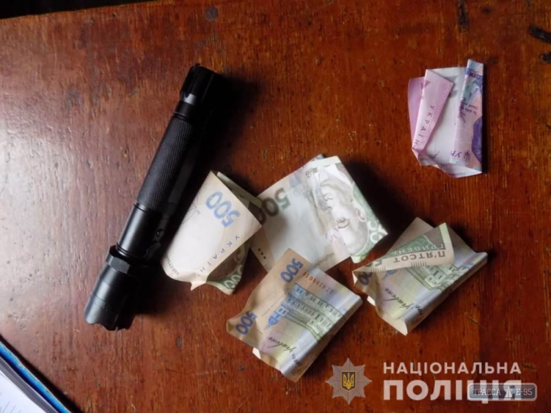 Полиция задержала преступников, совершивших разбойное нападение на пенсионеров в Захаровском районе