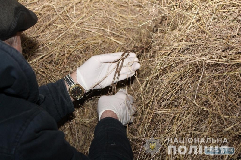 Семилетний мальчик запутался в цепях и погиб, играя в сене в Подольском районе
