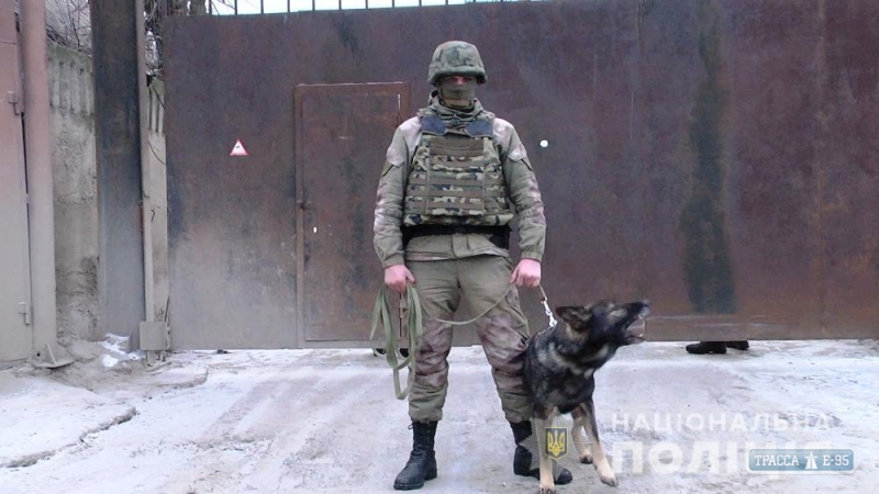 Служебные собаки Одесской полиции помогли в раскрытии более тысячи преступлений за год