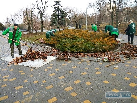 Горзелентрест весной высадит в Одессе 350 крупномерных деревьев и 250 тысяч цветов 
