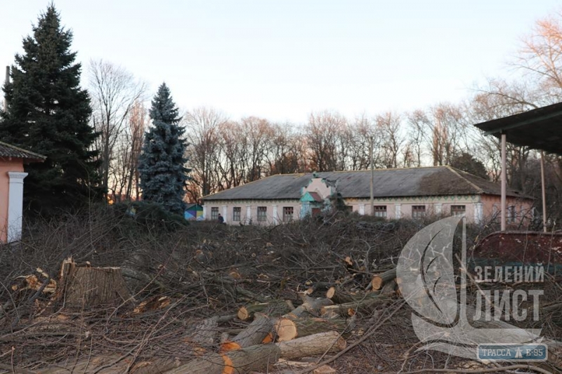 Общественники: неизвестные спилили более 120 деревьев на территории бывшего детского лагеря в Одессе