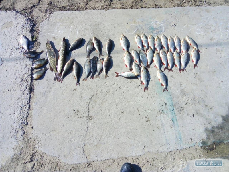 Браконьеры на Одесщине за один день незаконно выловили рыбы на 8 тыс. гривен