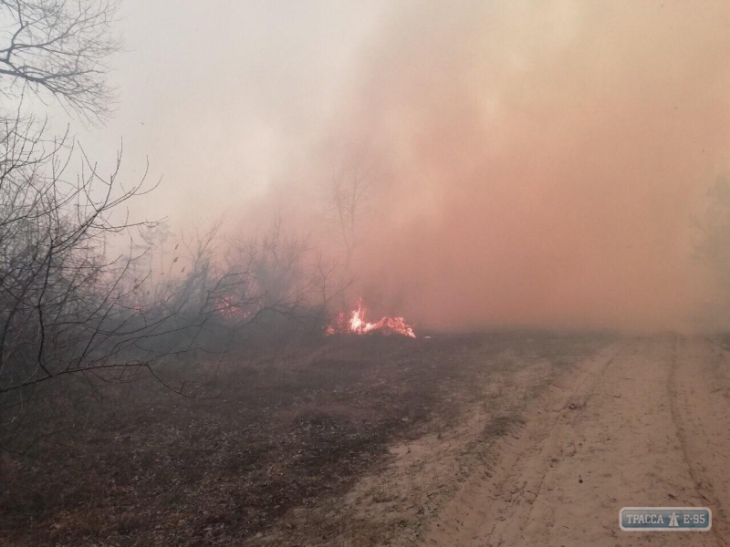 Спасатели с самолета тушили пожар в Вилковском лесничестве