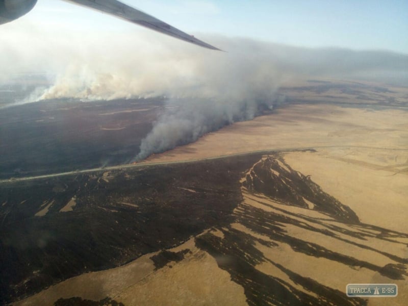 Масштабный пожар в Вилковском лесничестве уничтожил 50 га травы и камыша