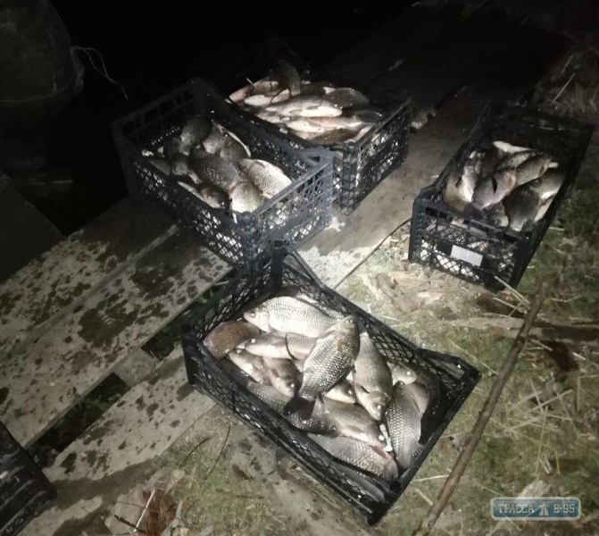 Браконьеры в Одесской области незаконно выловили рыбы почти на 55 тыс. грн