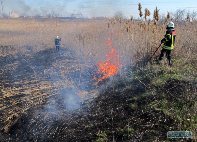 Очередное возгорание камыша на окраине Одессы едва не привело к взрыву газопровода (фото)