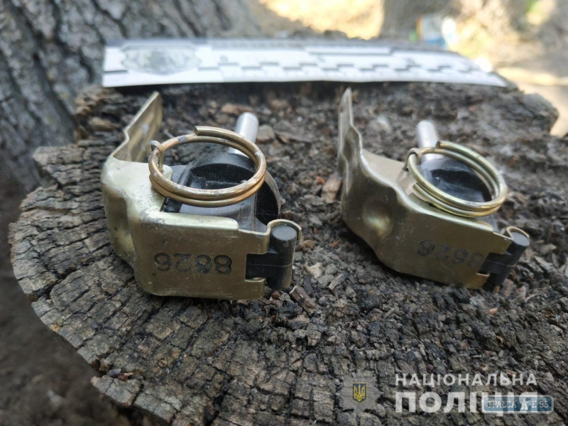 Правоохранители искали и нашли гранаты, пистолеты, патроны и наркотики на юге Одесской области