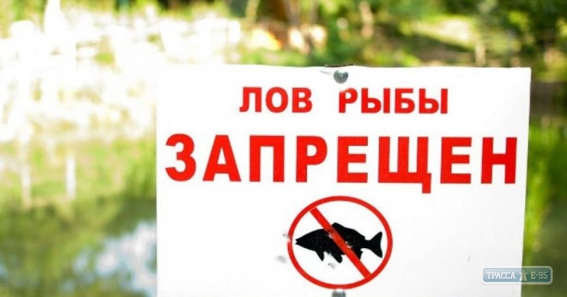 Нерестовый запрет на внутренних водоемах Одесской области начинается с 1 апреля