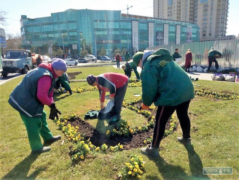 Одесские озеленители высадят 15 тысяч цветов у обелиска 