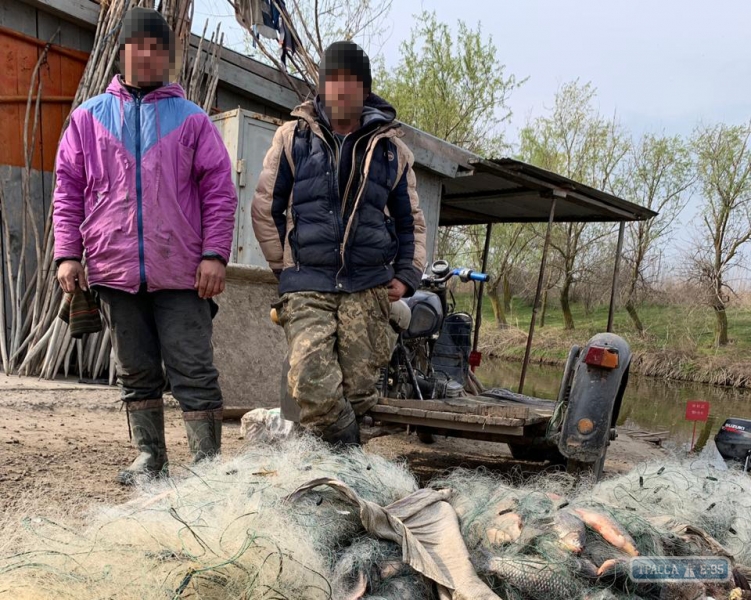 Пограничники задержали на юге Одесщины браконьеров, незаконно выловивших 100 килограммов рыбы