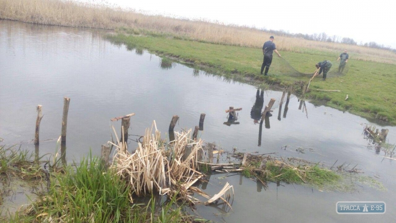 Одесский рыбоохранный патруль убрал искусственно созданные перегородки на реке Кодыма