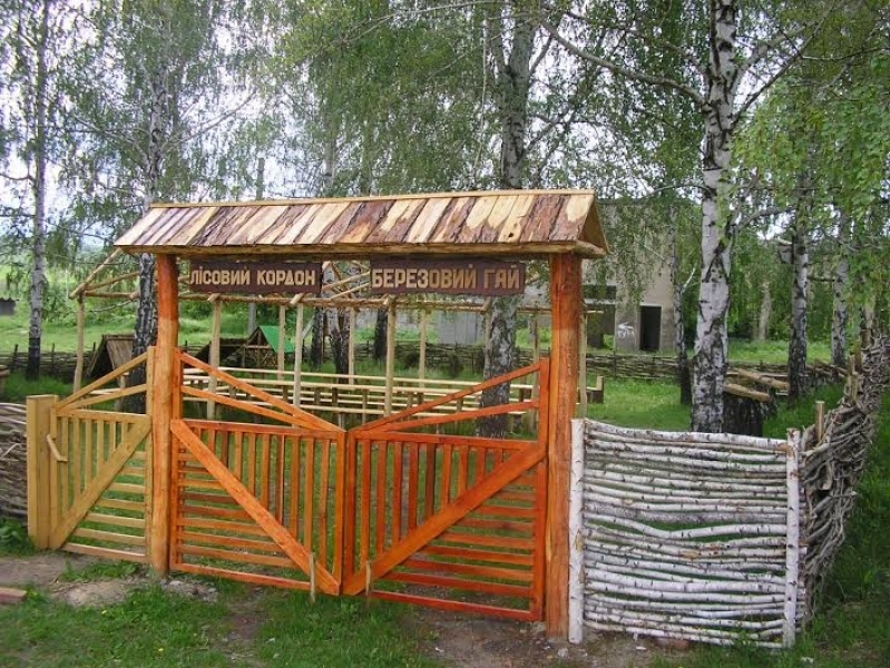 Ученики лицея в Одесской области создали уникальную лабораторию под открытым небом (фото)