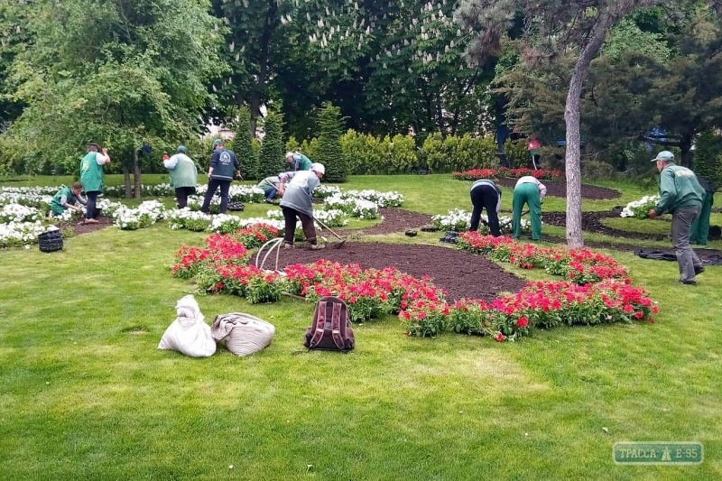 Озеленители высадили узоры из летних цветов в Стамбульском парке в Одессе (фото)