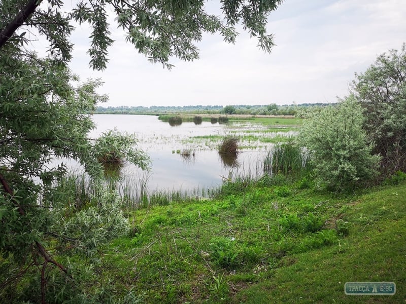 Экологи рассказали о планах восстановления природы на заповедном острове Ермаков в Одесской области 