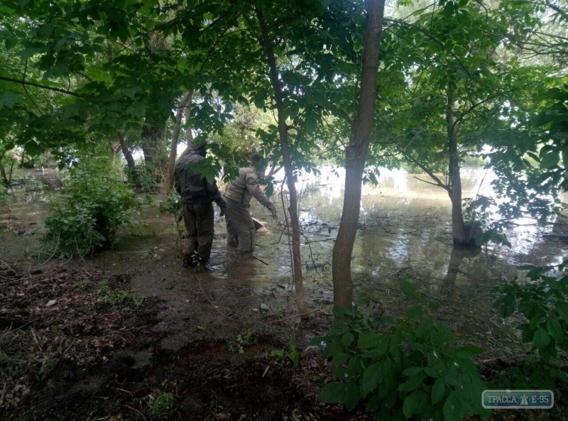 Два человека утонули в Одесской области за минувшие сутки