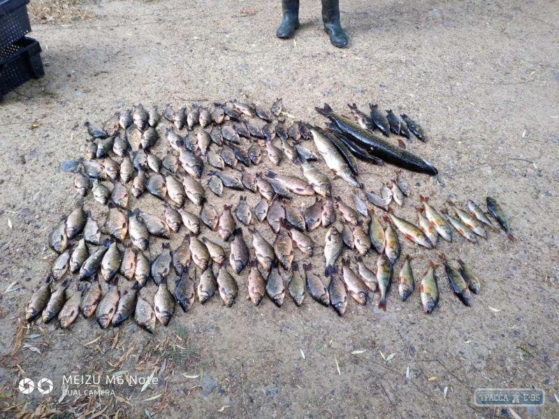 Браконьеры выловили более 100 кг рыбы на озере Тудорово в Одесской области
