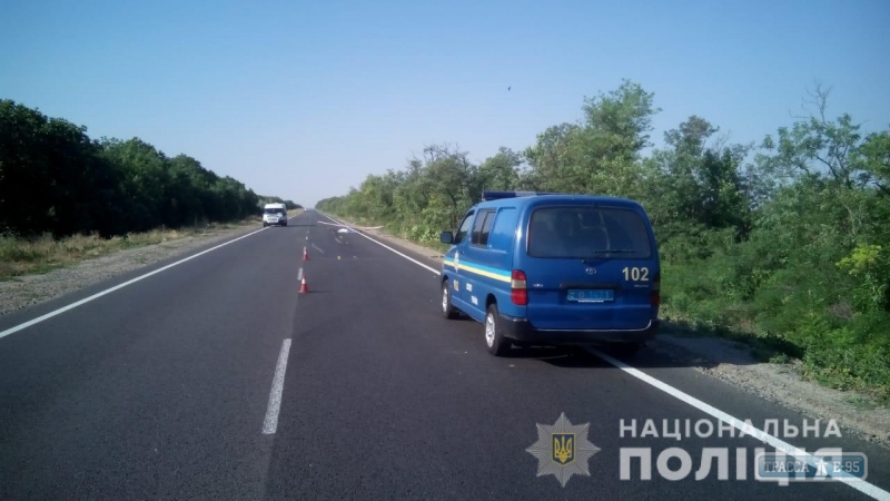 Смертельное ДТП на трассе Одесса-Рени: водитель сбил пешехода и скрылся