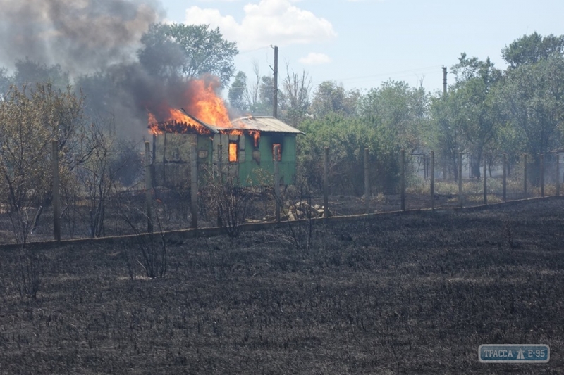 Масштабный пожар в курортной зоне Одесской области: сгорели базы отдыха, не исключен поджог