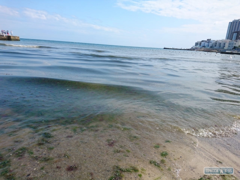 Экологи после непогоды оперативно обследовали одесское побережье и назвали самые грязные пляжи