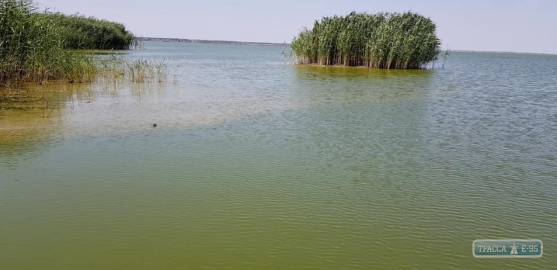 Озеру Катлабух на юге Одесской области грозит экологическая катастрофа