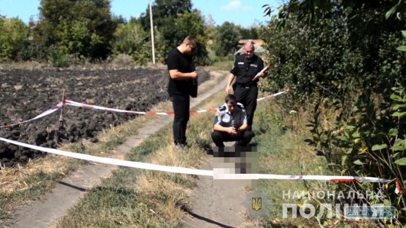 В селе на севере Одесщины нашли на дороге голову местного жителя (видео)