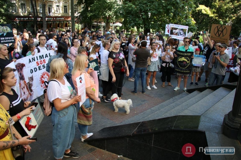 Одесситы вышли на марш за права животных
