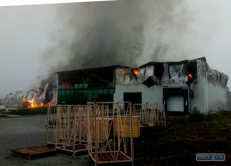В Одесской области горел склад предприятия по переработке чеснока
