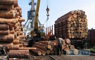 Белгород-Днестровский порт сократил  экспорт леса в 6,4 раза 