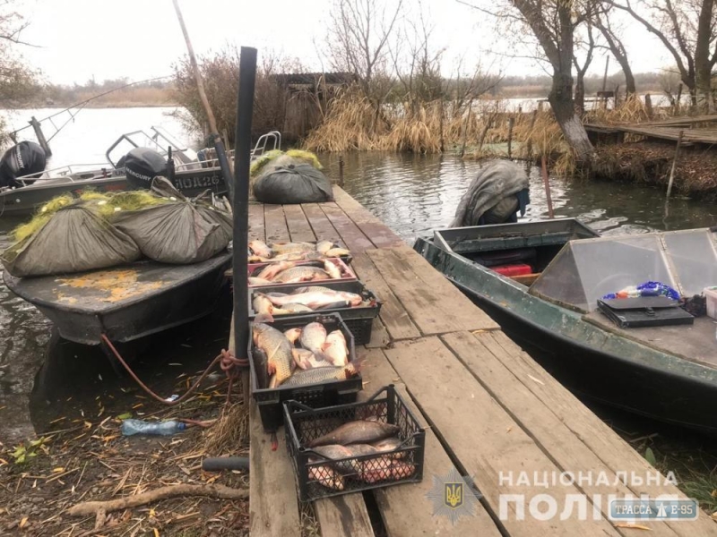 Браконьеры выловили в Днестровском лимане рыбы на 50 тысяч, назвавшись учеными-исследователями