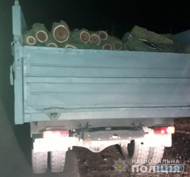 Житель Одесской области рубил деревья в лесополосе на продажу