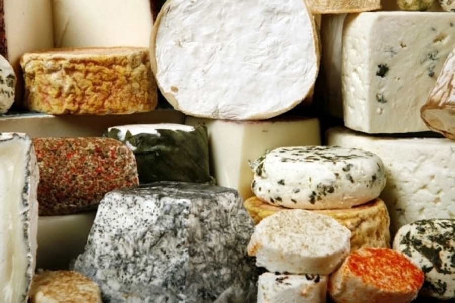 Новый завод в Одесской области будет производить сыр из козьего молока